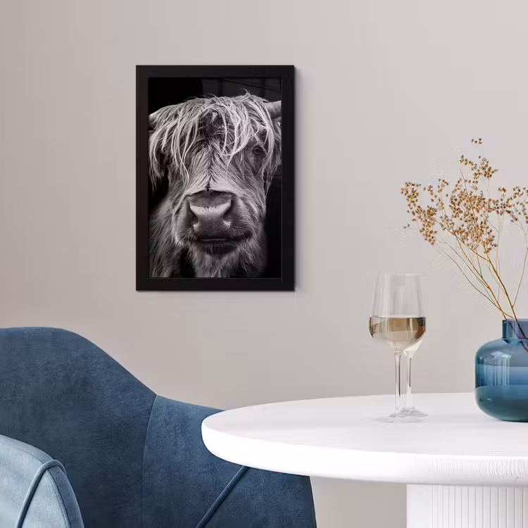 Schotse Hooglander - Horens - Zwart - Wit - Koe - Wild - Dieren fotolijst zwart zonder passe partout klein -sfeer4