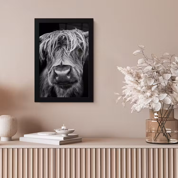 Schotse Hooglander - Horens - Zwart - Wit - Koe - Wild - Dieren fotolijst zwart zonder passe partout klein -sfeer5