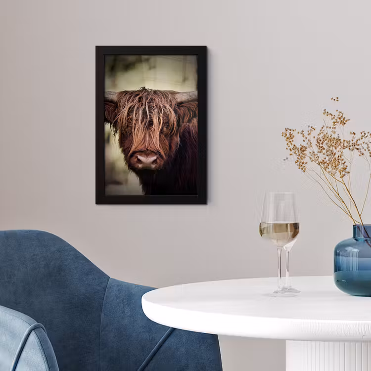 Schotse hooglander - Licht - Portret - Natuur fotolijst zwart zonder passe partout klein -sfeer4