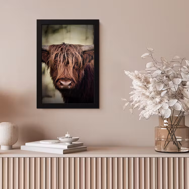 Schotse hooglander - Licht - Portret - Natuur fotolijst zwart zonder passe partout klein -sfeer5