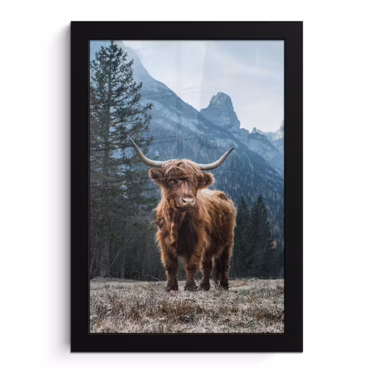 Schotse hooglander - Berg - Landschap - Bomen - Koe - Natuur fotolijst zwart zonder passe partout klein -3d