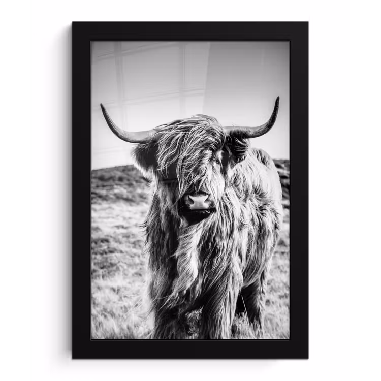 Schotse hooglander - Natuur - Koe - Zwart - Wit fotolijst zwart zonder passe partout klein -3d