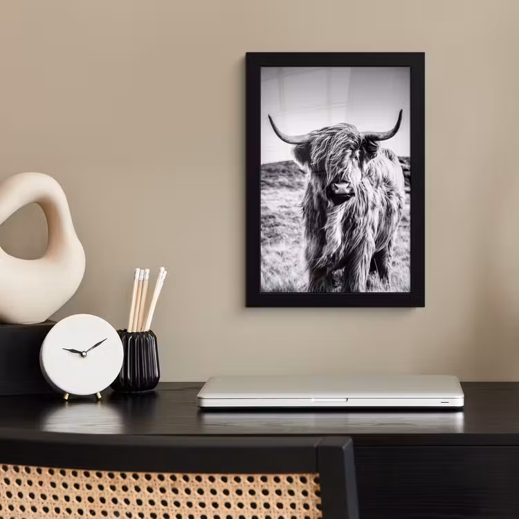 Schotse hooglander - Natuur - Koe - Zwart - Wit fotolijst zwart zonder passe partout klein -sfeer1