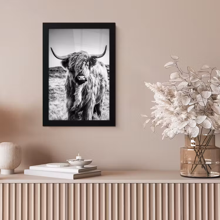 Schotse hooglander - Natuur - Koe - Zwart - Wit fotolijst zwart zonder passe partout klein -sfeer5