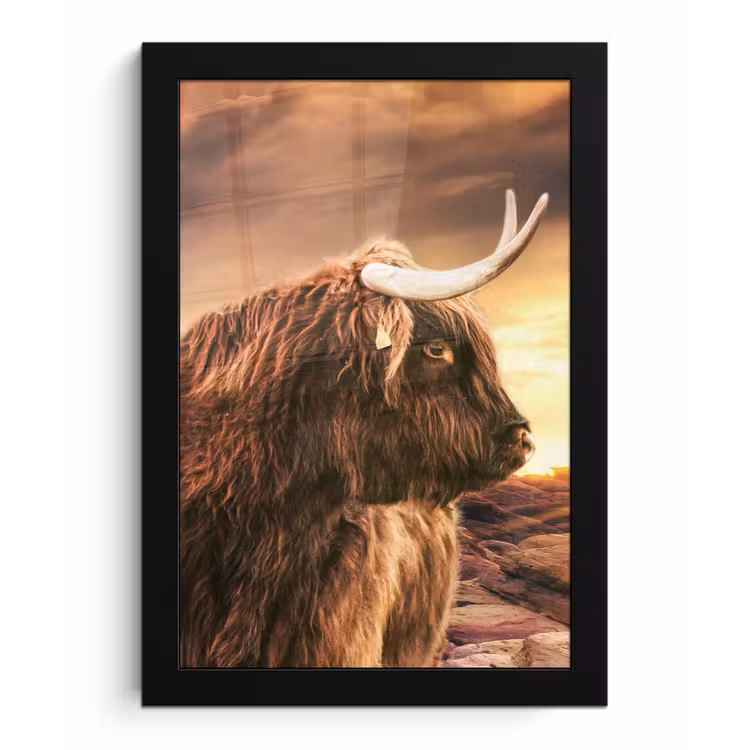 Schotse hooglander - Zon - Horizon - Koe - Dieren fotolijst zwart zonder passe partout klein -3d
