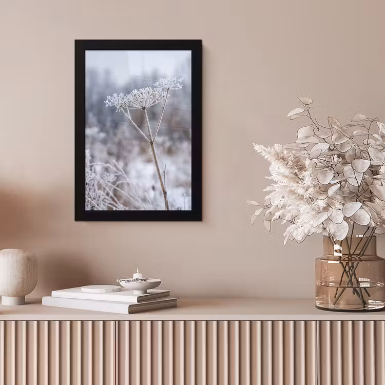 Schermbloem - Rijp - Kristallen - Winter - Delicaat fotolijst zwart zonder passe partout klein -sfeer5