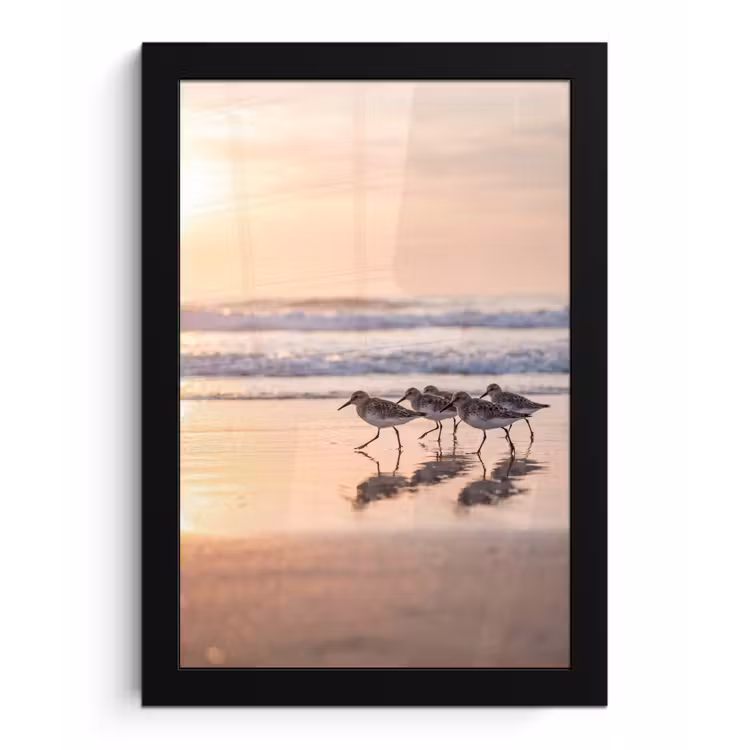 Zee - Vogels - Strand fotolijst zwart zonder passe partout klein -3d