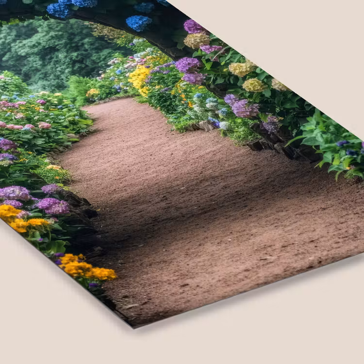 Doorkijk - Bloemen - Hortensia - Pad fotolijst zwart zonder passe partout klein -zsfeer6
