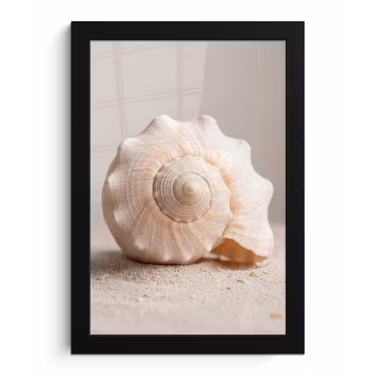 Schelp - Detail - Beige fotolijst zwart zonder passe partout klein -3d