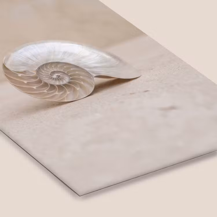 Schelp - Spiraal - Beige fotolijst zwart zonder passe partout klein -zsfeer6