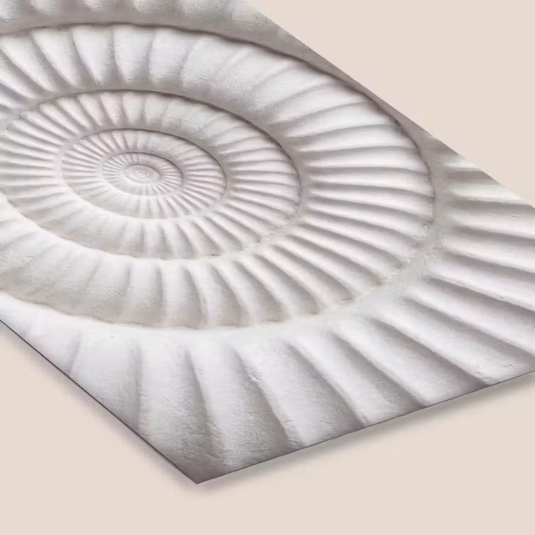 Schelp - Spiraal - Wit fotolijst zwart zonder passe partout klein -zsfeer6