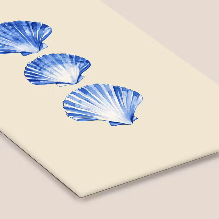 Schelpen - Blauw - Beige fotolijst zwart zonder passe partout klein -zsfeer6