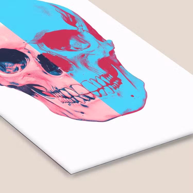 Schedel - Grafisch - Roze - Verdeeld fotolijst zwart zonder passe partout klein -zsfeer6