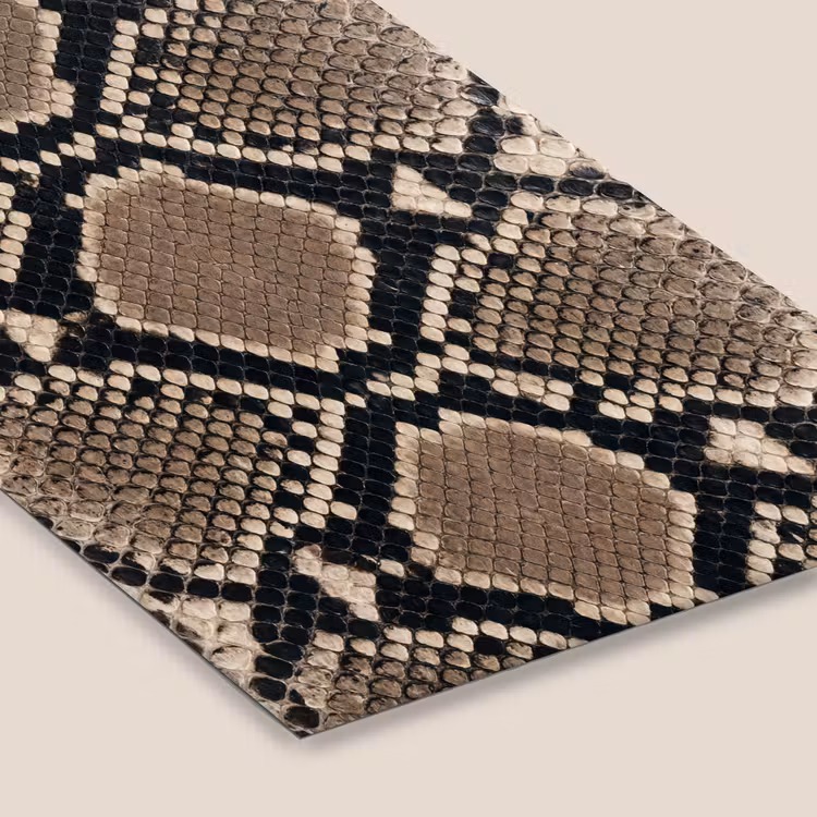 Slangenprint - Python - Bruin fotolijst zwart zonder passe partout klein -zsfeer6
