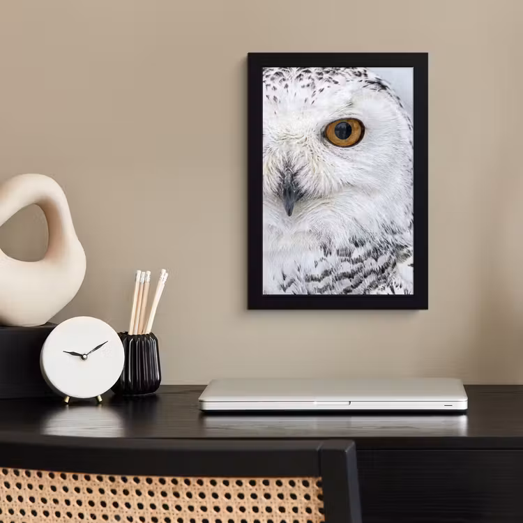Sneeuwuil - Oog - Wildlife - Wit fotolijst zwart zonder passe partout klein -sfeer1