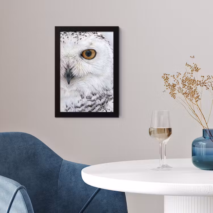 Sneeuwuil - Oog - Wildlife - Wit fotolijst zwart zonder passe partout klein -sfeer4