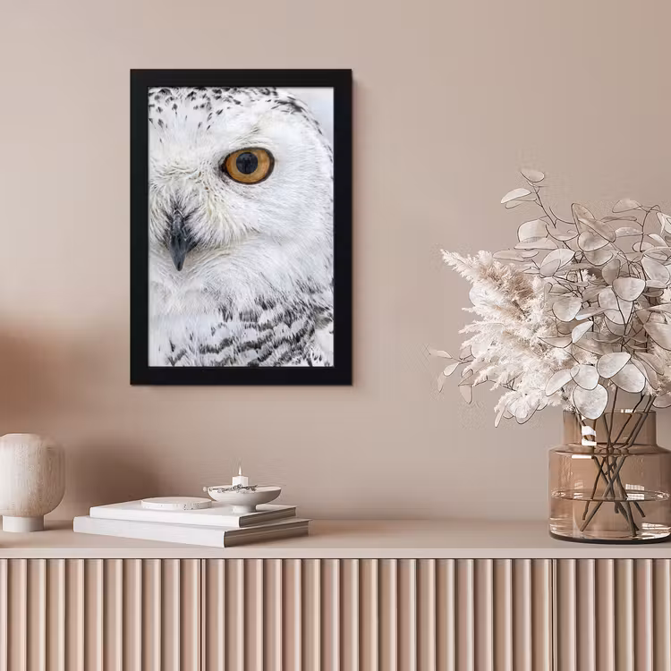 Sneeuwuil - Oog - Wildlife - Wit fotolijst zwart zonder passe partout klein -sfeer5