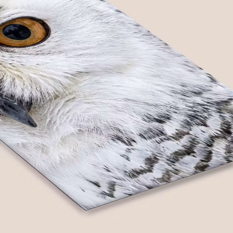 Sneeuwuil - Oog - Wildlife - Wit fotolijst zwart zonder passe partout klein -zsfeer6