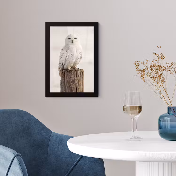Sneeuwuil - Paal - Winter - Portret - Majestueus fotolijst zwart zonder passe partout klein -sfeer4