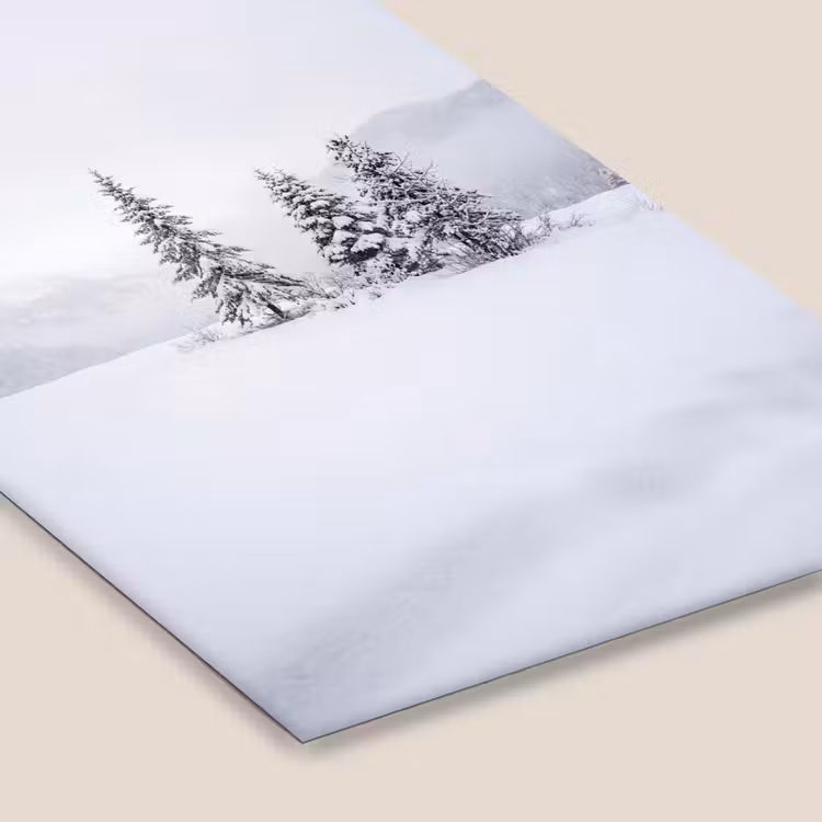 Fijnsparren - Sneeuw - Winter - Landschap - Stilte fotolijst zwart zonder passe partout klein -zsfeer6