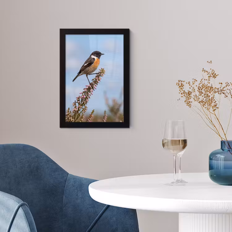 Roodborsttapuit - Heide - Paars - Natuur - Sfeervol fotolijst zwart zonder passe partout klein -sfeer4