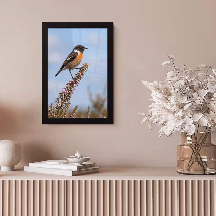 Roodborsttapuit - Heide - Paars - Natuur - Sfeervol fotolijst zwart zonder passe partout klein -sfeer5