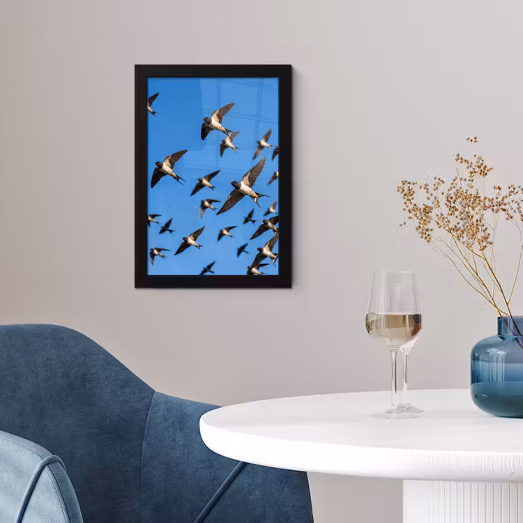 Zwaluwen - Vliegen - Blauw fotolijst zwart zonder passe partout klein -sfeer4