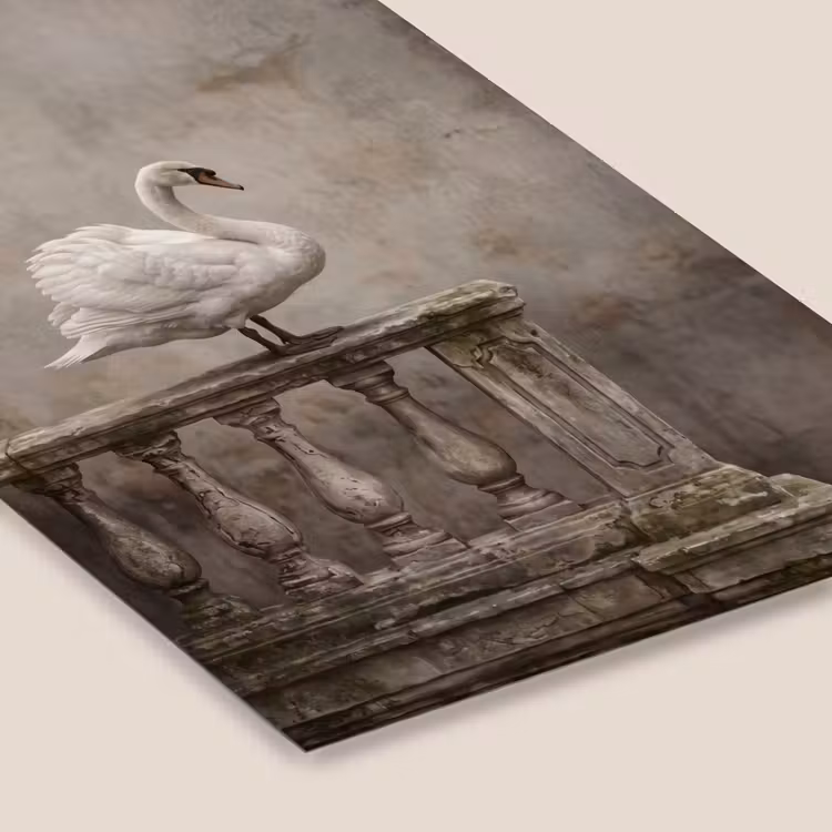 Zwaan - Elegant - Dieren - Wit fotolijst zwart zonder passe partout klein -zsfeer6