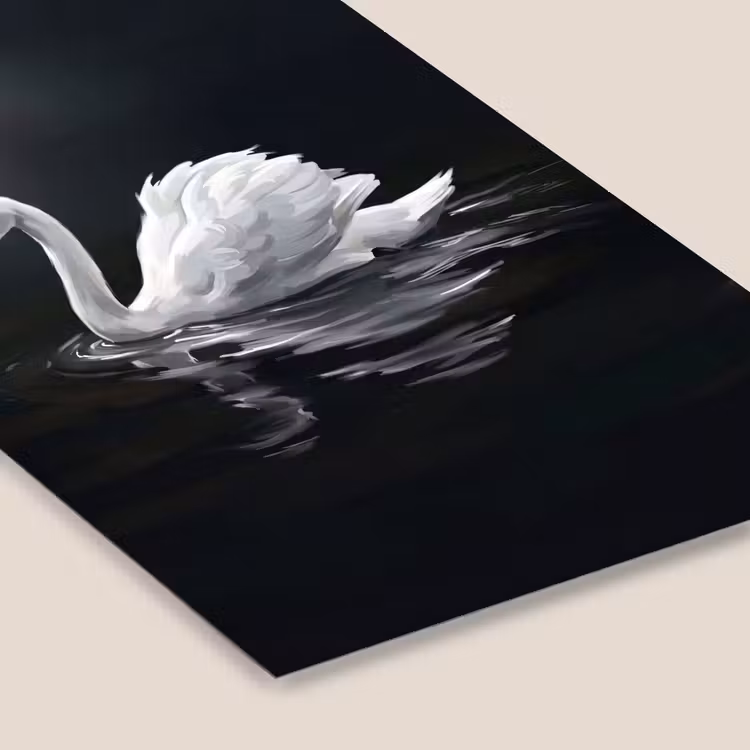 Zwaan - Water - Natuur - Realistisch - Wit fotolijst zwart zonder passe partout klein -zsfeer6