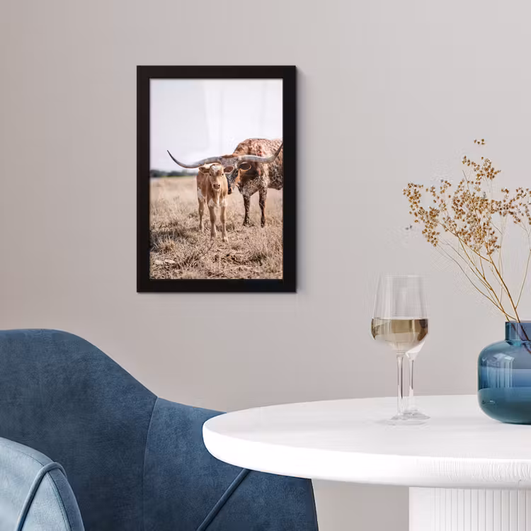 Texas Longhorn - Kalf - Weide - Dieren fotolijst zwart zonder passe partout klein -sfeer4