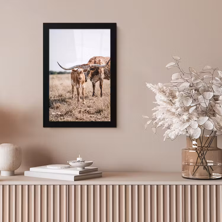 Texas Longhorn - Kalf - Weide - Dieren fotolijst zwart zonder passe partout klein -sfeer5