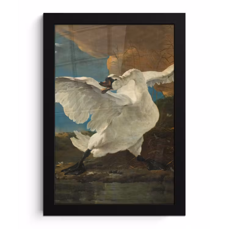 De bedreigde zwaan - Schilderij van Jan Asselijn fotolijst zwart zonder passe partout klein -3d