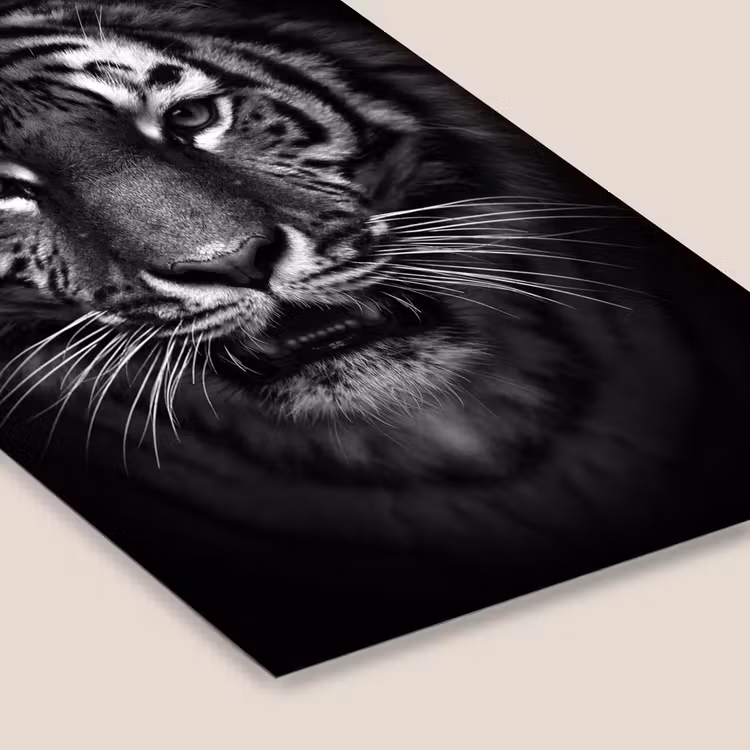 Tijger - Dieren - Zwart - Wit - Portret - Wild fotolijst zwart zonder passe partout klein -zsfeer6