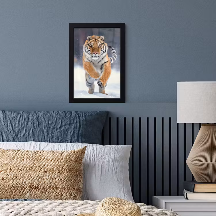 Tijger - Landschap - Sneeuw - Winter - Dieren fotolijst zwart zonder passe partout klein -sfeer3