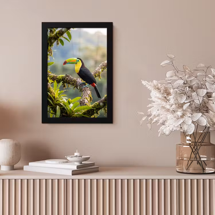 Toekan - Jungle - Natuur - Kleurrijk fotolijst zwart zonder passe partout klein -sfeer5