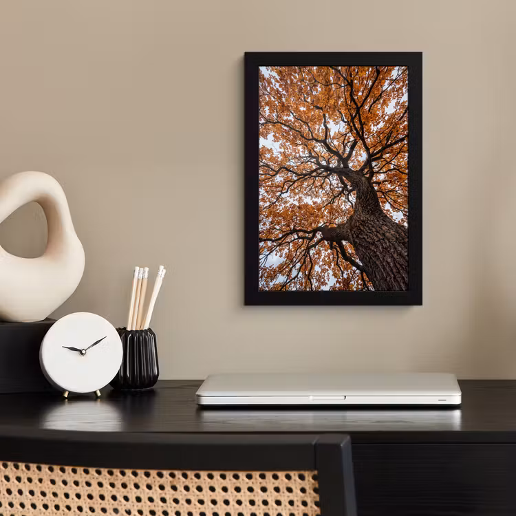 Boom - Bladerdak - Herfst - Oranje - Sfeervol fotolijst zwart zonder passe partout klein -sfeer1