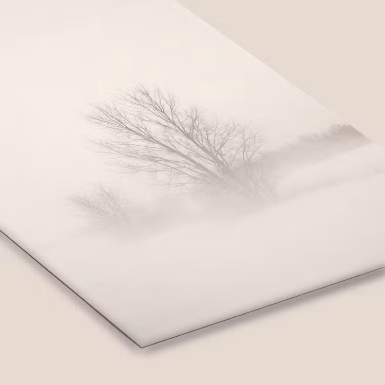 Boom - Mist - Sneeuw - Winter - Minimalistisch fotolijst zwart zonder passe partout klein -zsfeer6