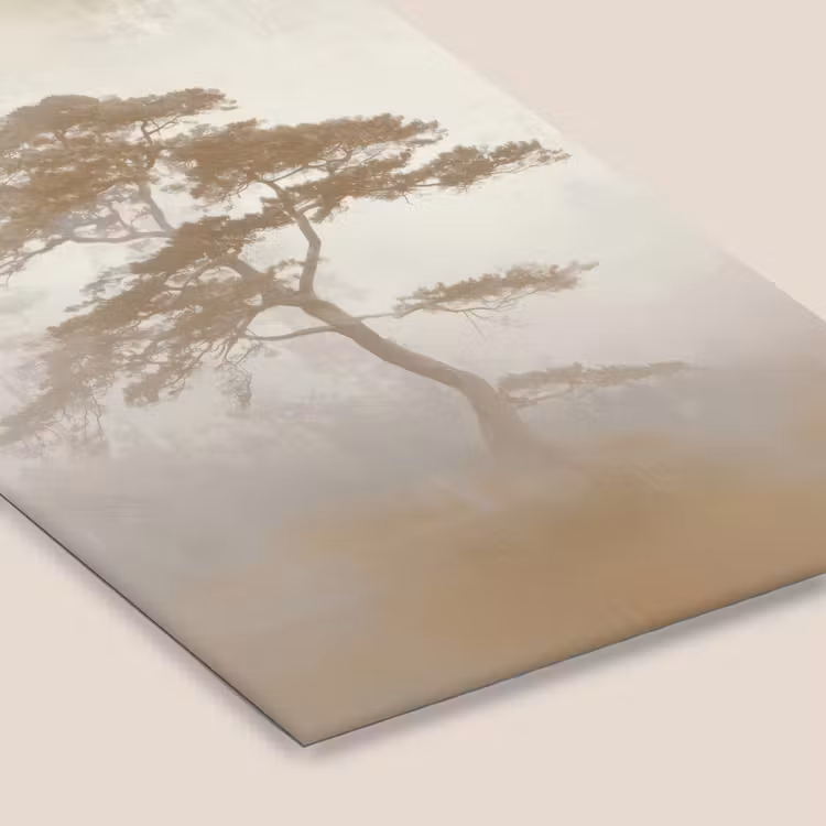 Boom - Oosterse stijl - Landschap fotolijst zwart zonder passe partout klein -zsfeer6