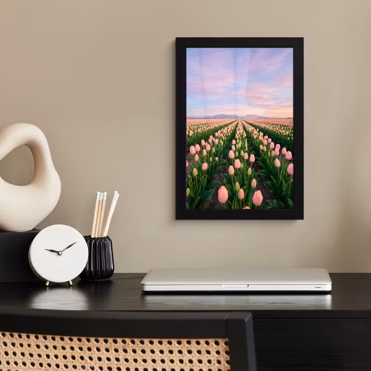 Tulpen - Landschap - Roze fotolijst zwart zonder passe partout klein -sfeer1