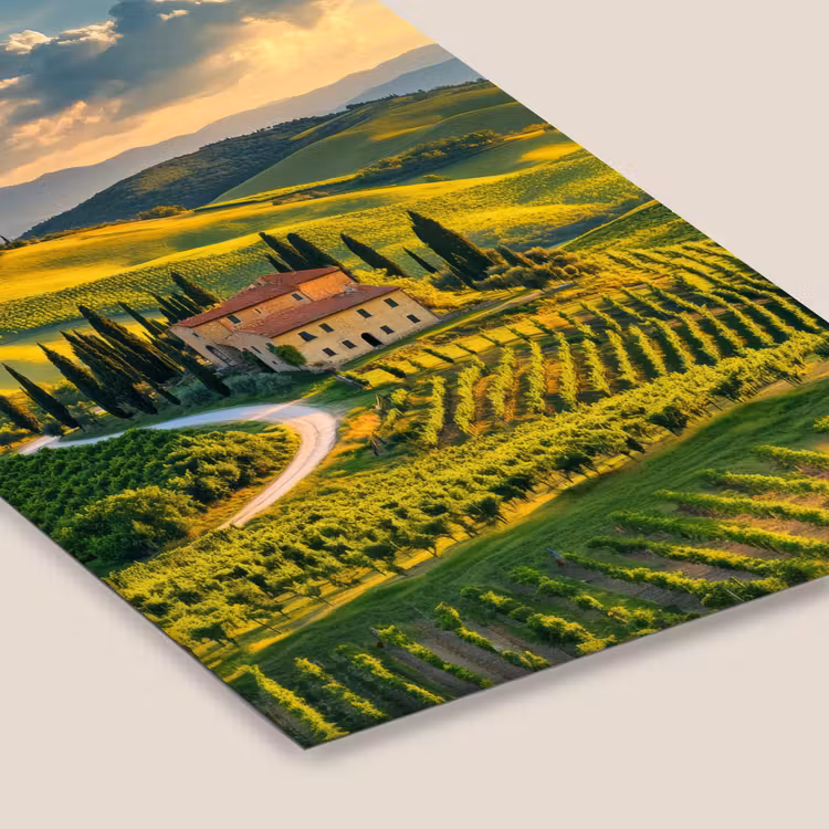 Toscane - Landschap - Wijngaarden fotolijst zwart zonder passe partout klein -zsfeer6