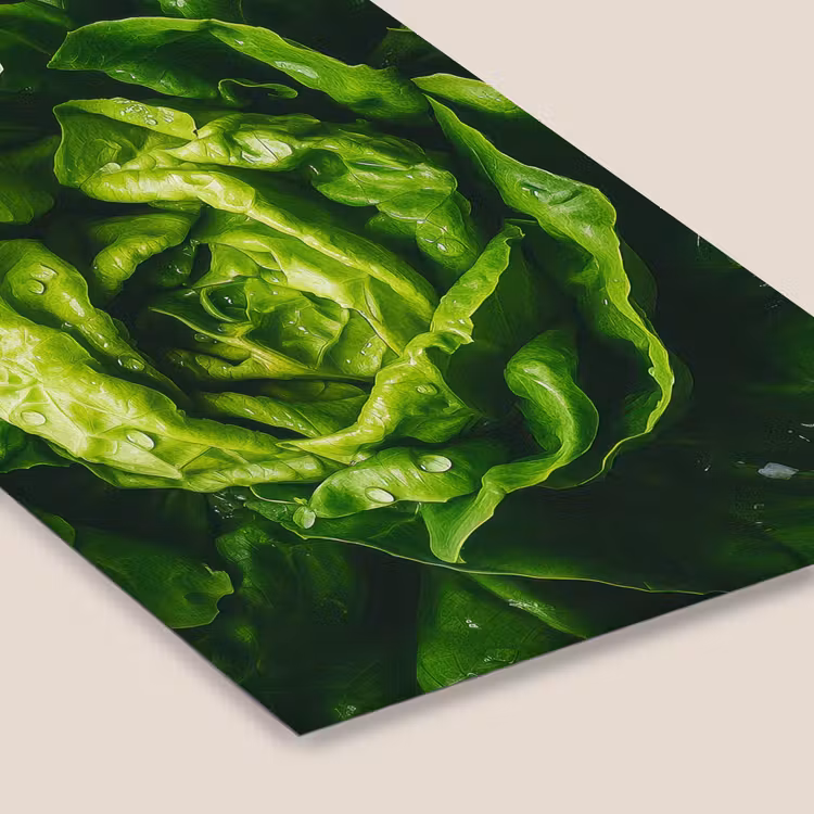 Groente - Sla - Groen fotolijst zwart zonder passe partout klein -zsfeer6