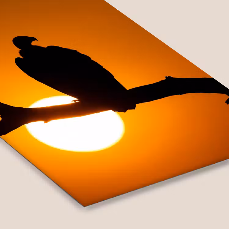 Gier - Tak - Zon - Oranje fotolijst zwart zonder passe partout klein -zsfeer6
