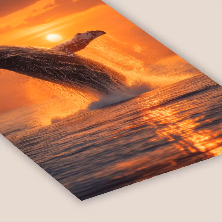 Walvis - Zon - Zee fotolijst zwart zonder passe partout klein -zsfeer6
