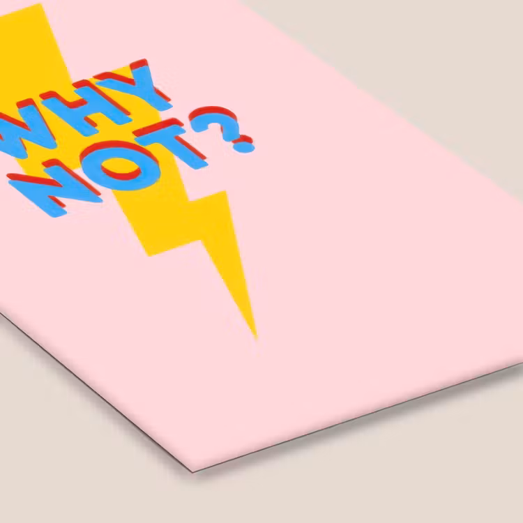 Why not - Bliksem - Roze fotolijst zwart zonder passe partout klein -zsfeer6
