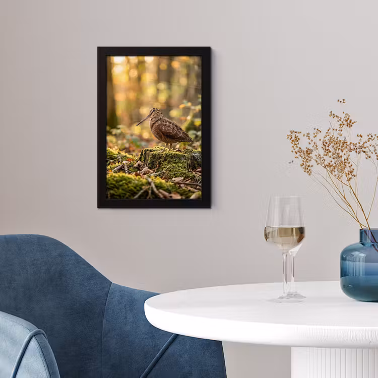 Houtsnip - Bos - Bladeren - Herfst - Gecamoufleerd fotolijst zwart zonder passe partout klein -sfeer4