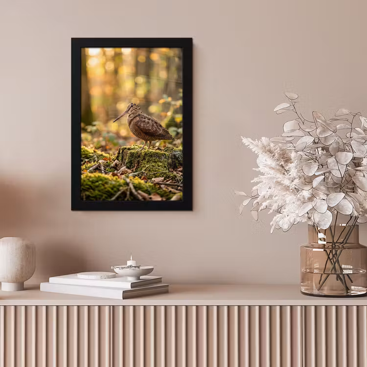 Houtsnip - Bos - Bladeren - Herfst - Gecamoufleerd fotolijst zwart zonder passe partout klein -sfeer5
