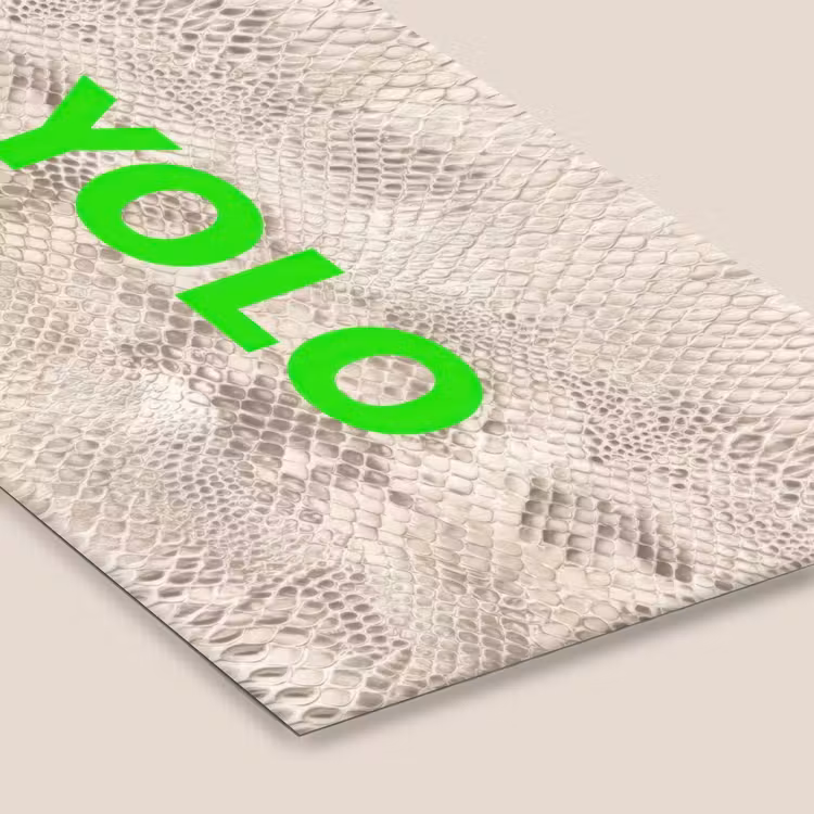 YOLO - Groen - Neon - Slangenprnt fotolijst zwart zonder passe partout klein -zsfeer6