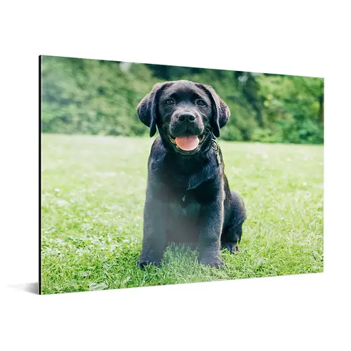 aluminium-product-5.png