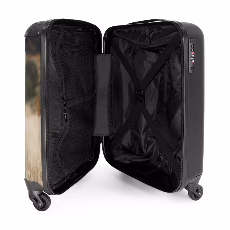eigen-foto-binnenkant-handbagage.png