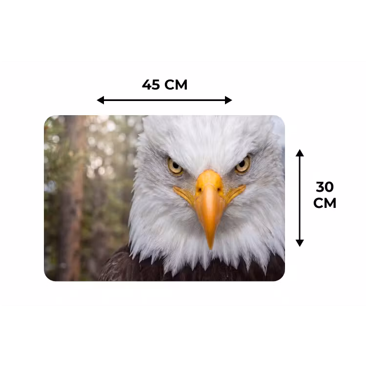 Amerikaans - Zeearend - Portret - Geel Placemat vinyl groot -specs